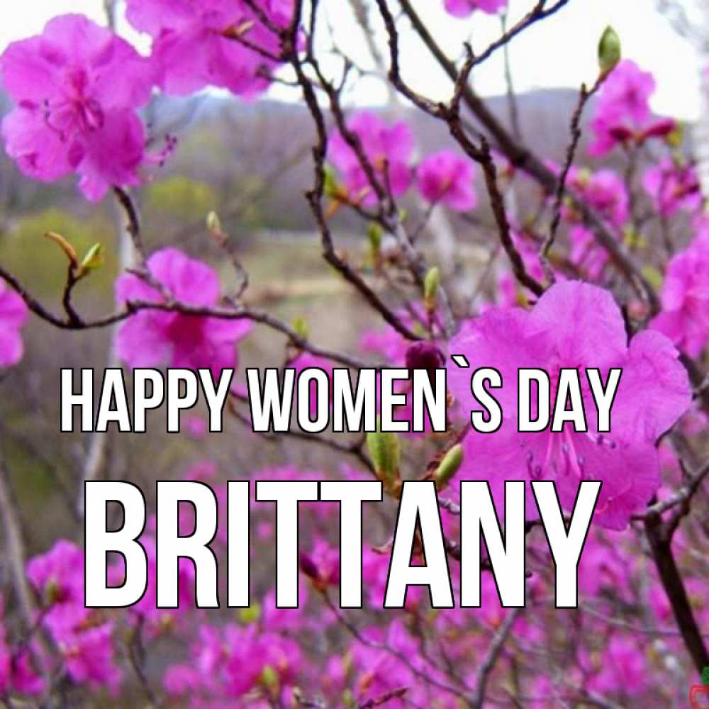 Greetings card с именем, Brittany happy women`s day международный женский день Greetings with text for free download 